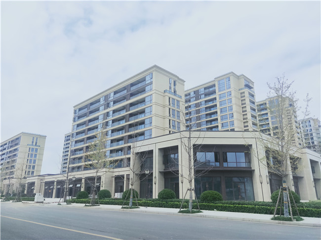 商城縣中浙·春風十里商業(yè)街鋁板項目